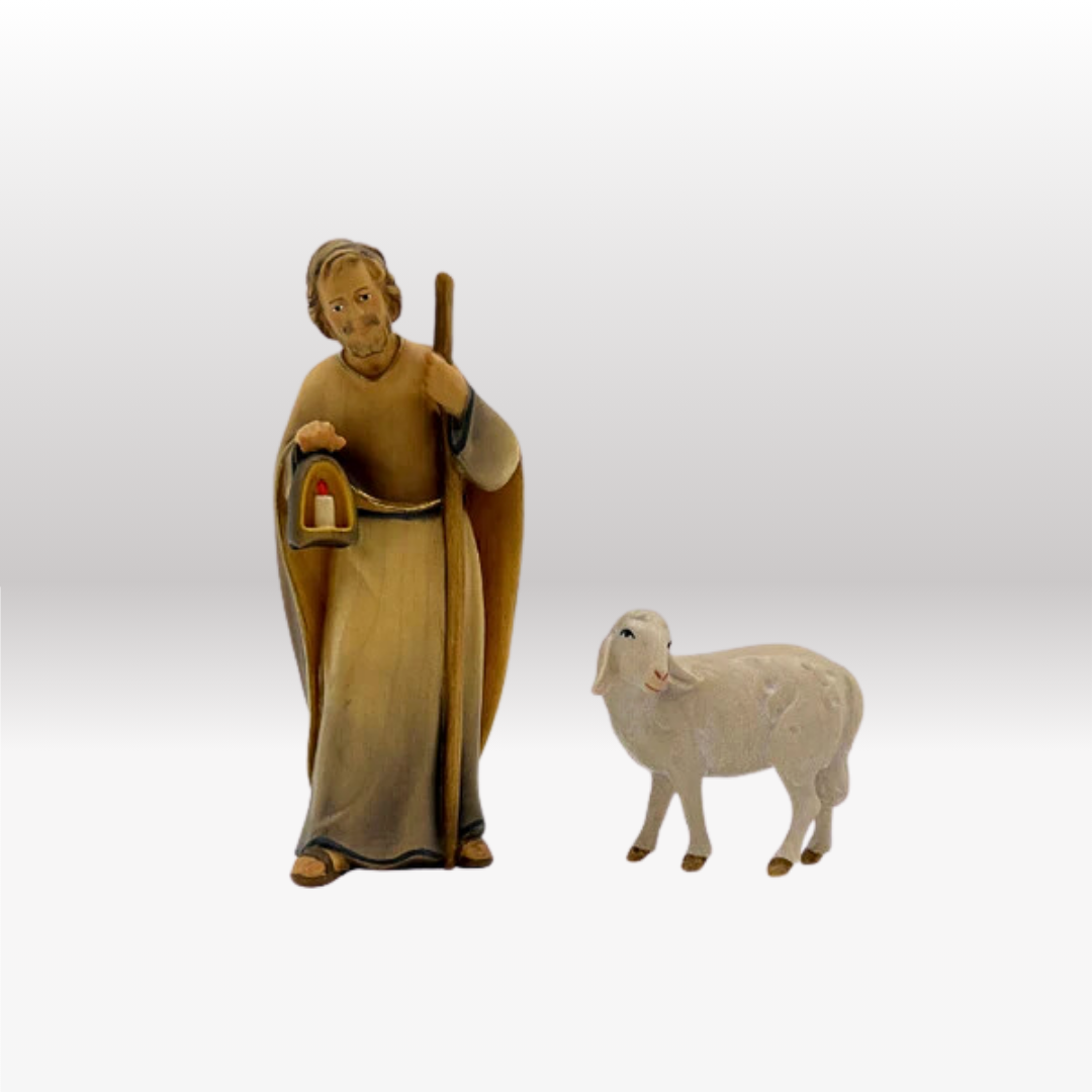 Schaf zurückschauend von Licht