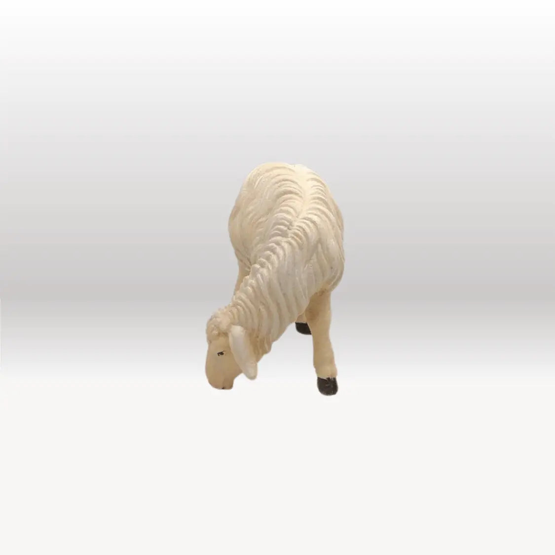 Schaf fressend rechtsschauend von Kostner-1