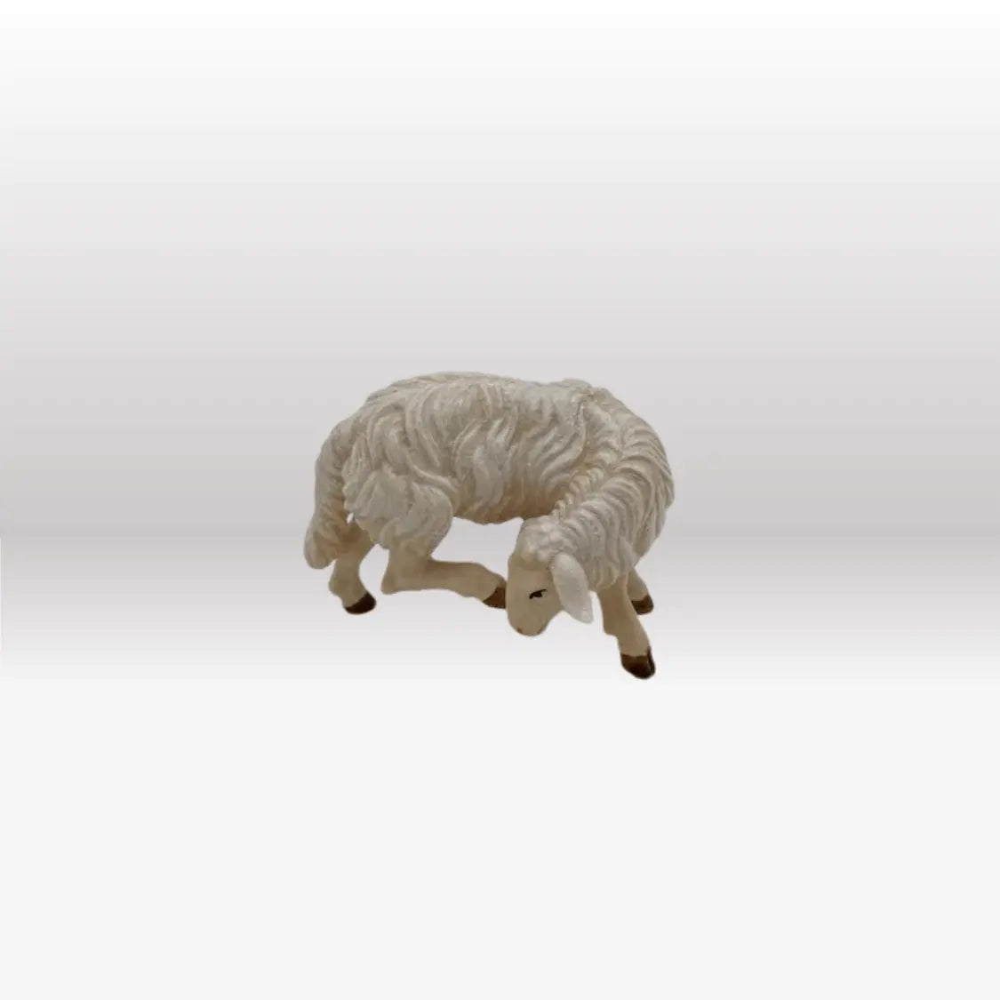 Schaf kratzend von Kostner-1