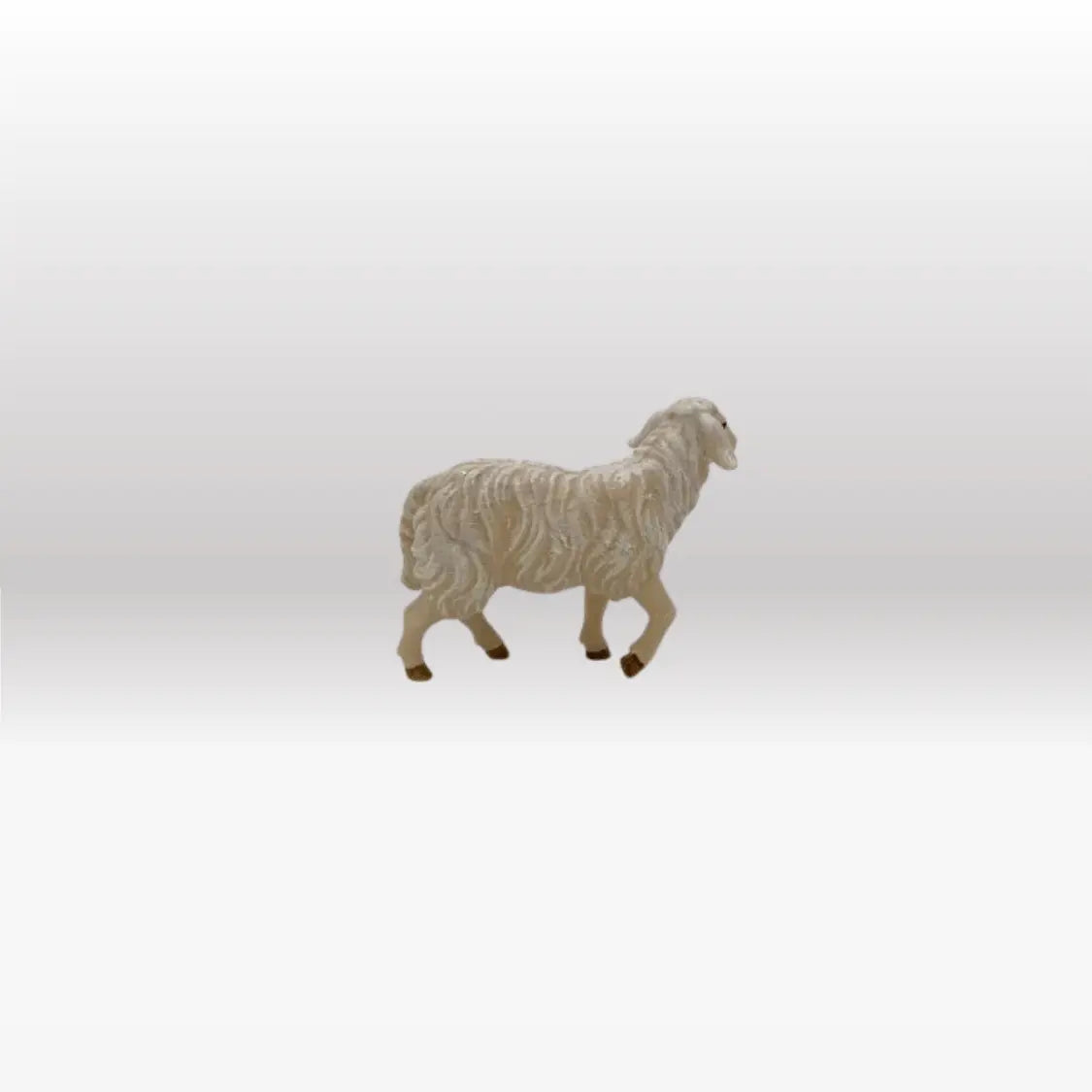 Schaf stehend Kopf hoch von Kostner
-3