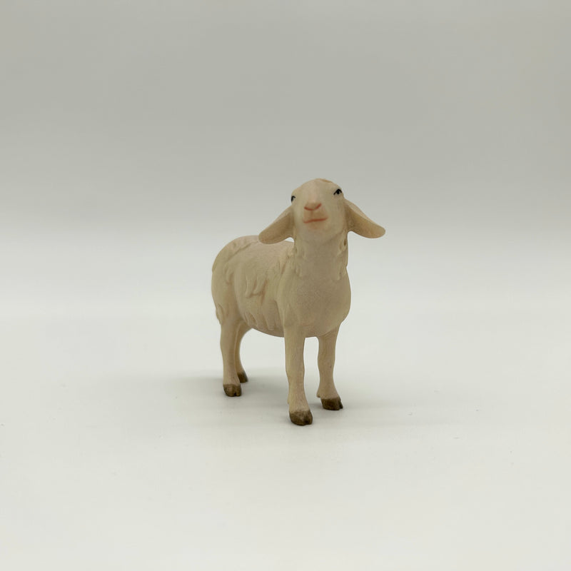 Schaf rechtsschauend Krippenfigur von Licht