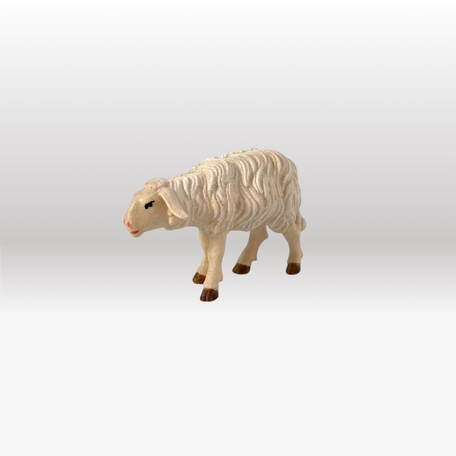 Schaf stehend vorwärtsschauend von Kostner-1