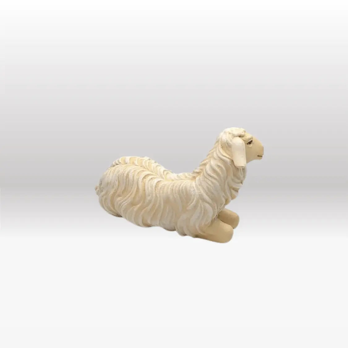 Schaf liegend linksschauend von Kostner-4