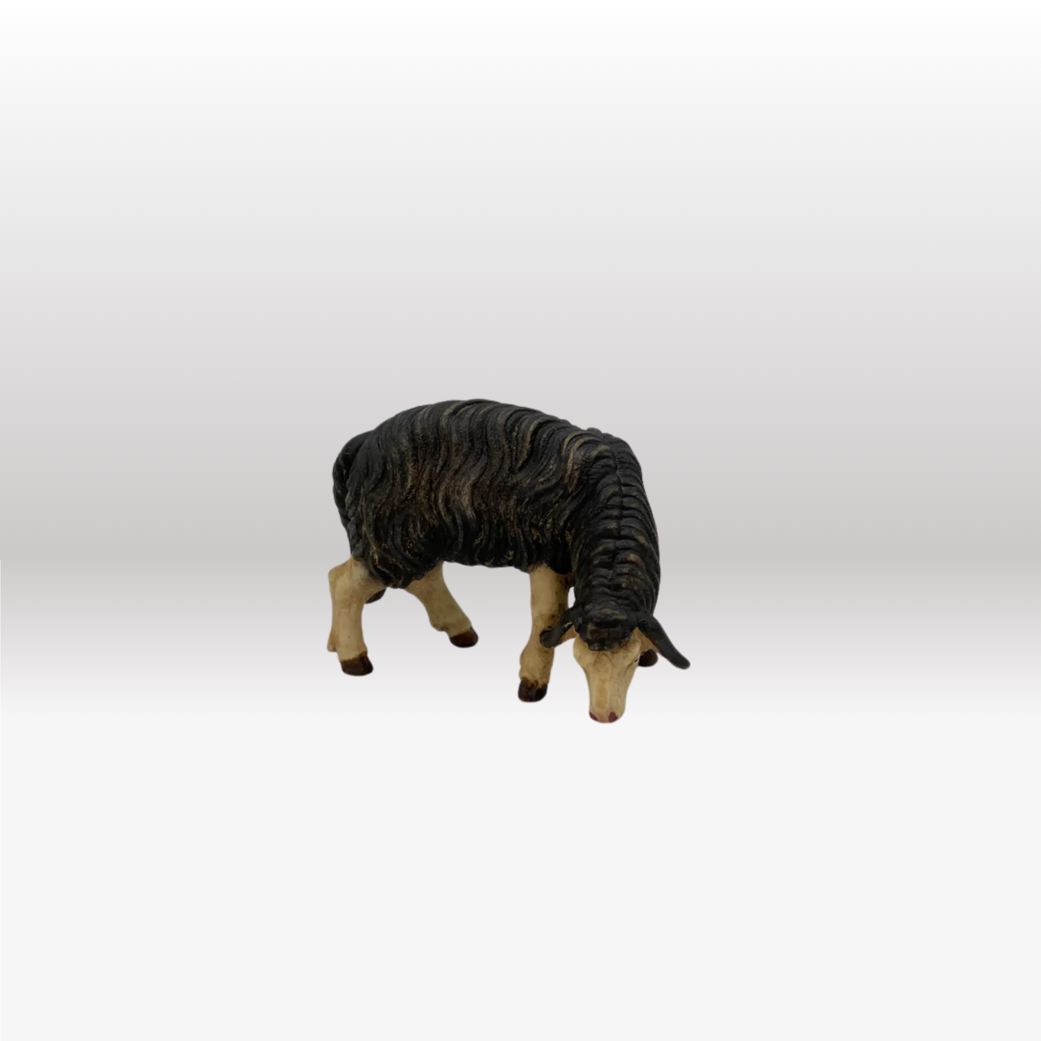 Schaf schwarz fressend rechtsschauend von Kostner-1