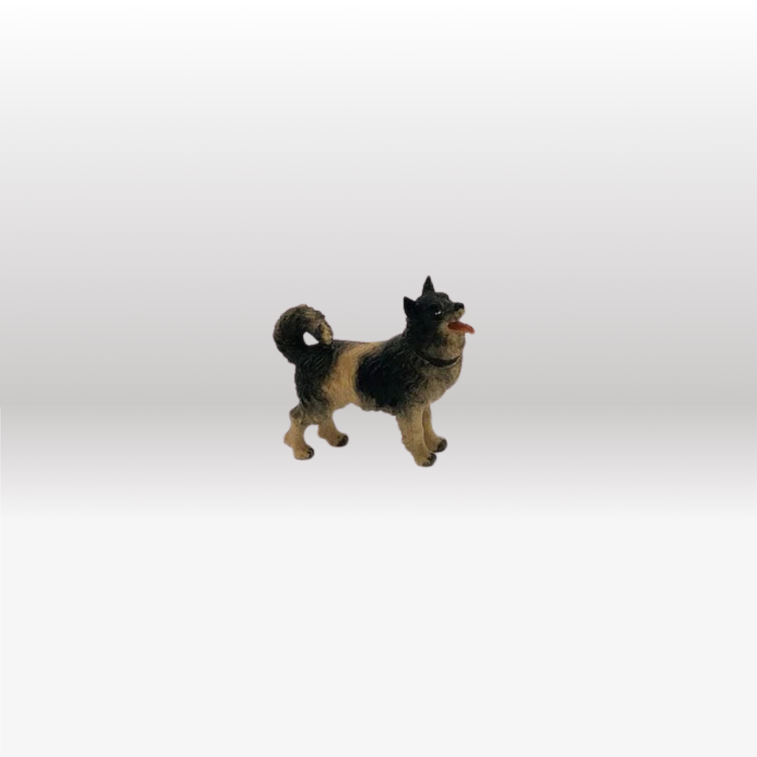 Hund  Spitz von Kostner-1