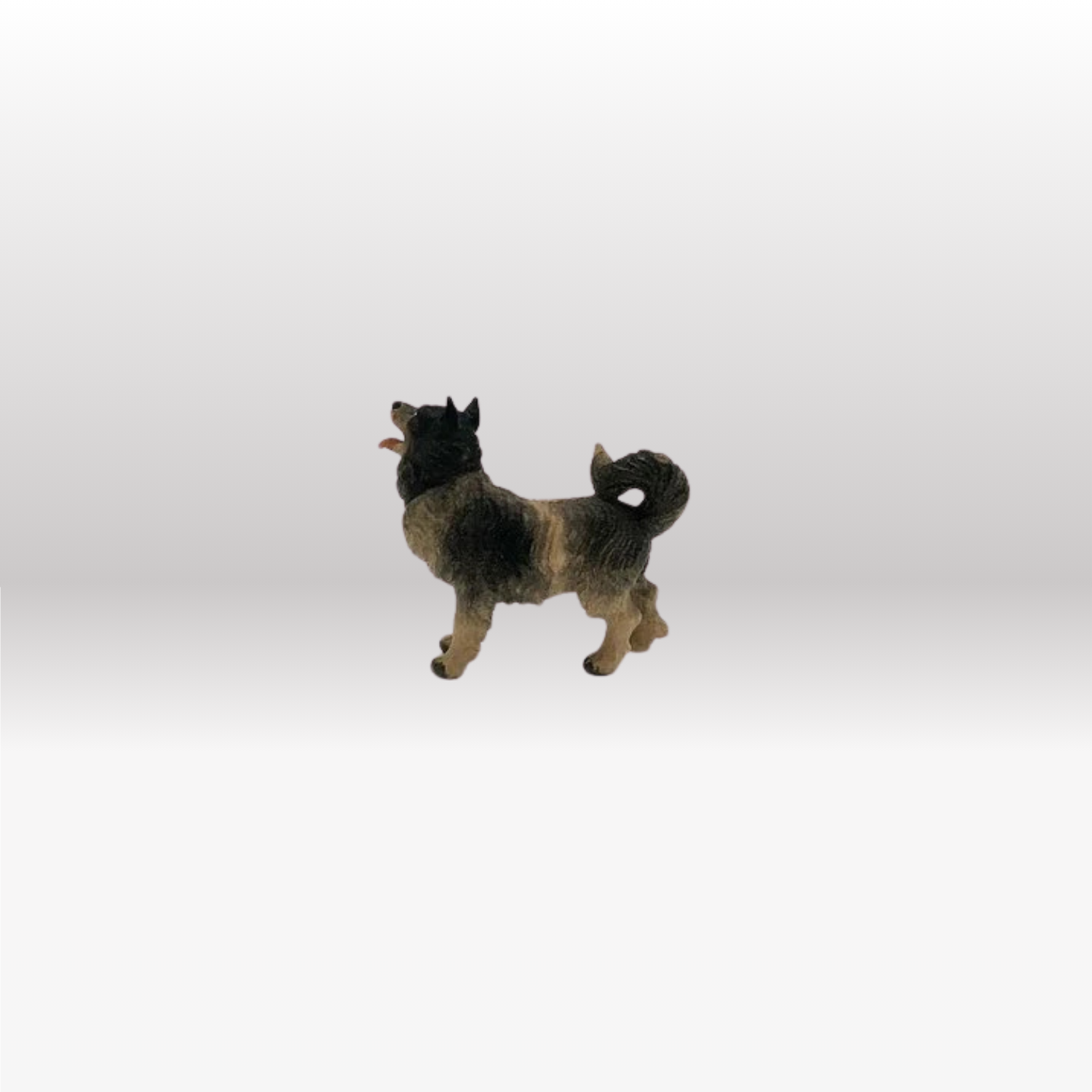 Hund  Spitz von Kostner-2