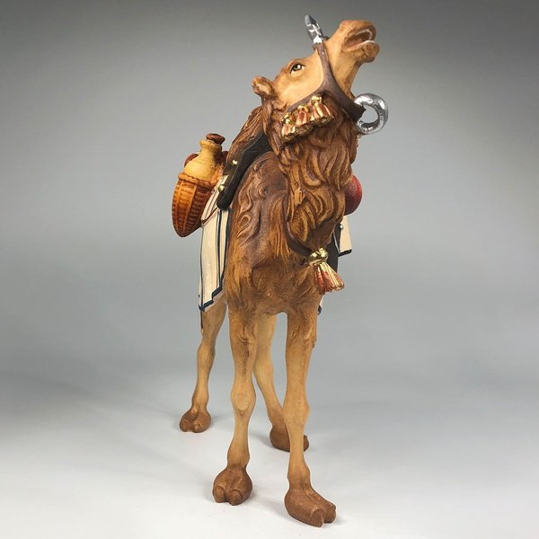 Kamel mit Gepäck Kostner