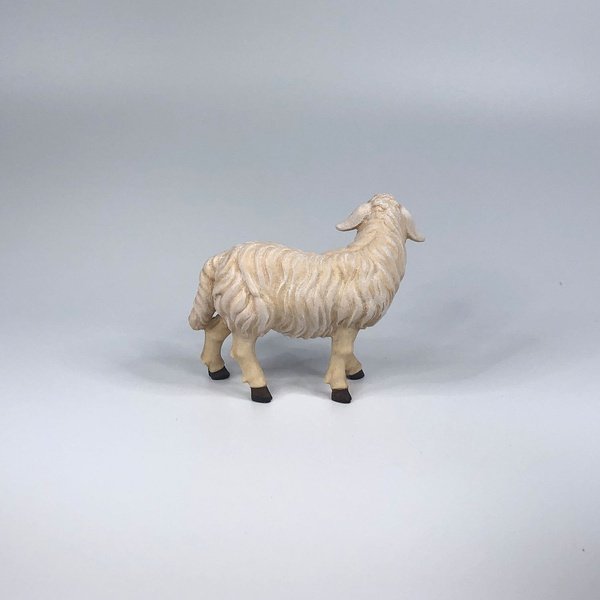 Schaf stehend linksschauend Kostner