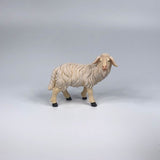 Schaf stehend rechtsschauend Kostner